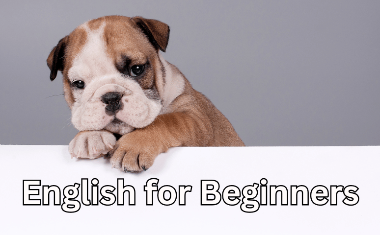 English for Beginners: 50 must know слов для первого разговора