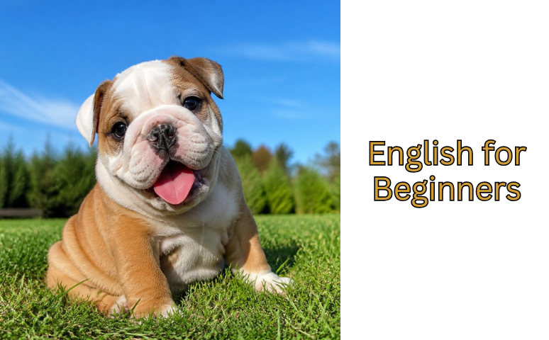 English for Beginners: 50 must know слов для первого разговора
